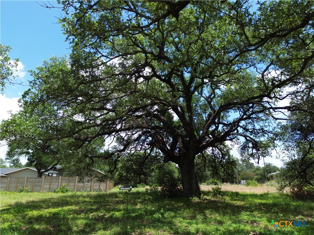 731 Santa Maria Road Salado, TX 76571 - Photo 1 of 15