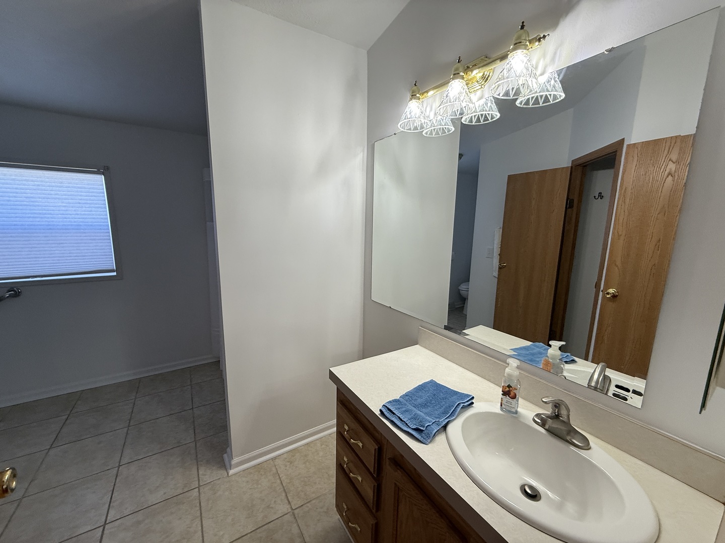 1055 Beechnut Circle Manteno, IL 60950 - Photo 21 of 26