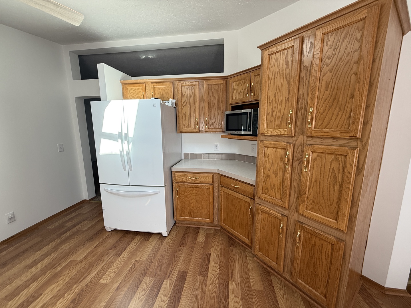 1055 Beechnut Circle Manteno, IL 60950 - Photo 8 of 26