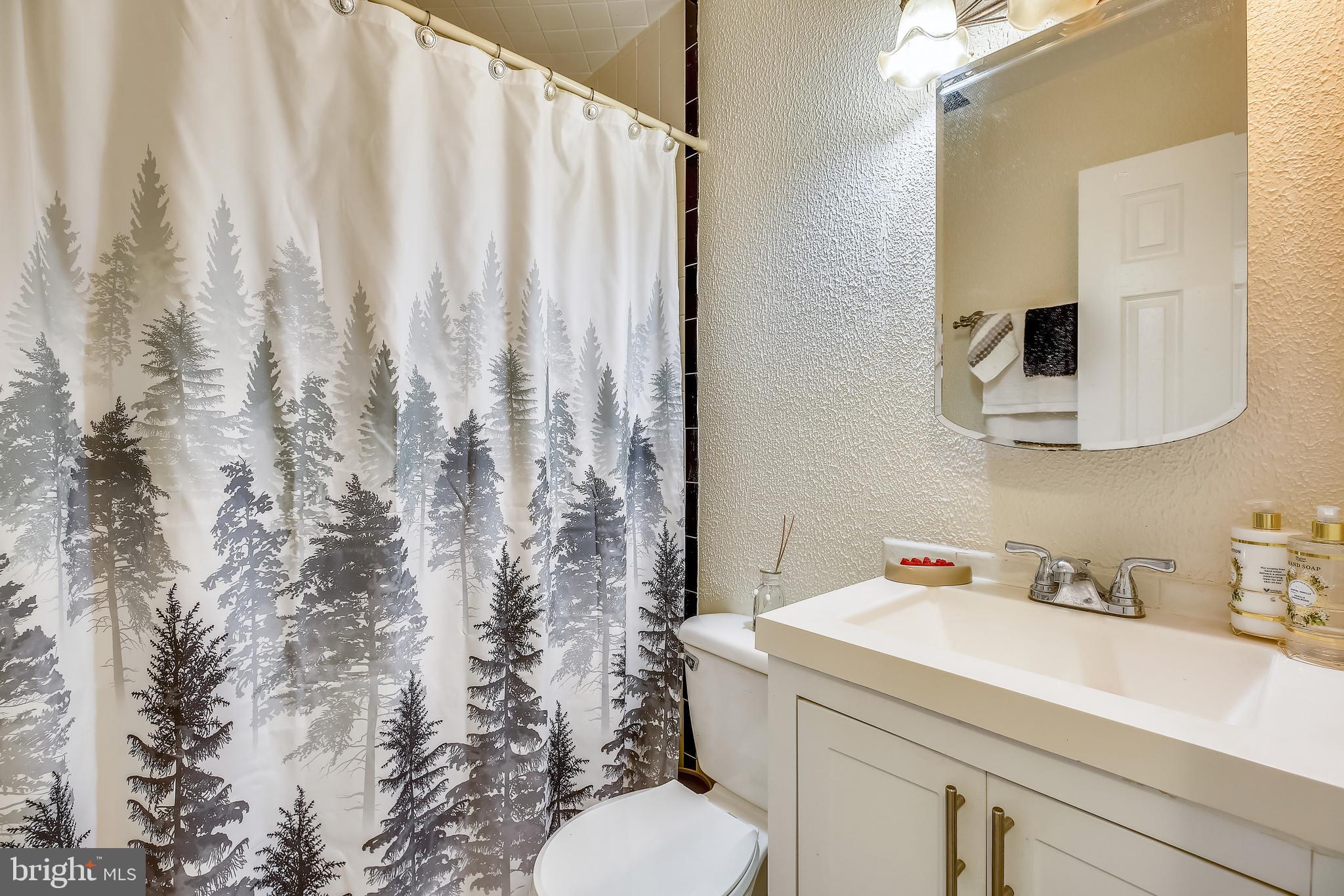 13605 Wagon Way Silver Spring, MD 20906 - Photo 25 of 41 Hall Bathroom