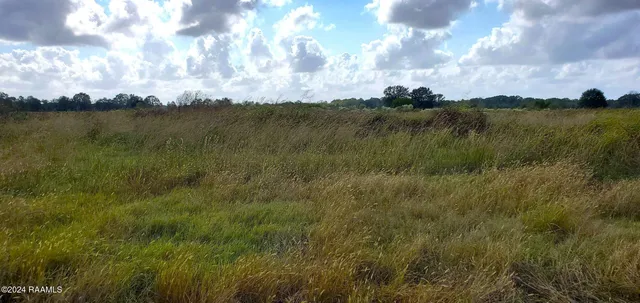 $73,500 | 1873 Pitreville Highway, Church Point, LA 70525