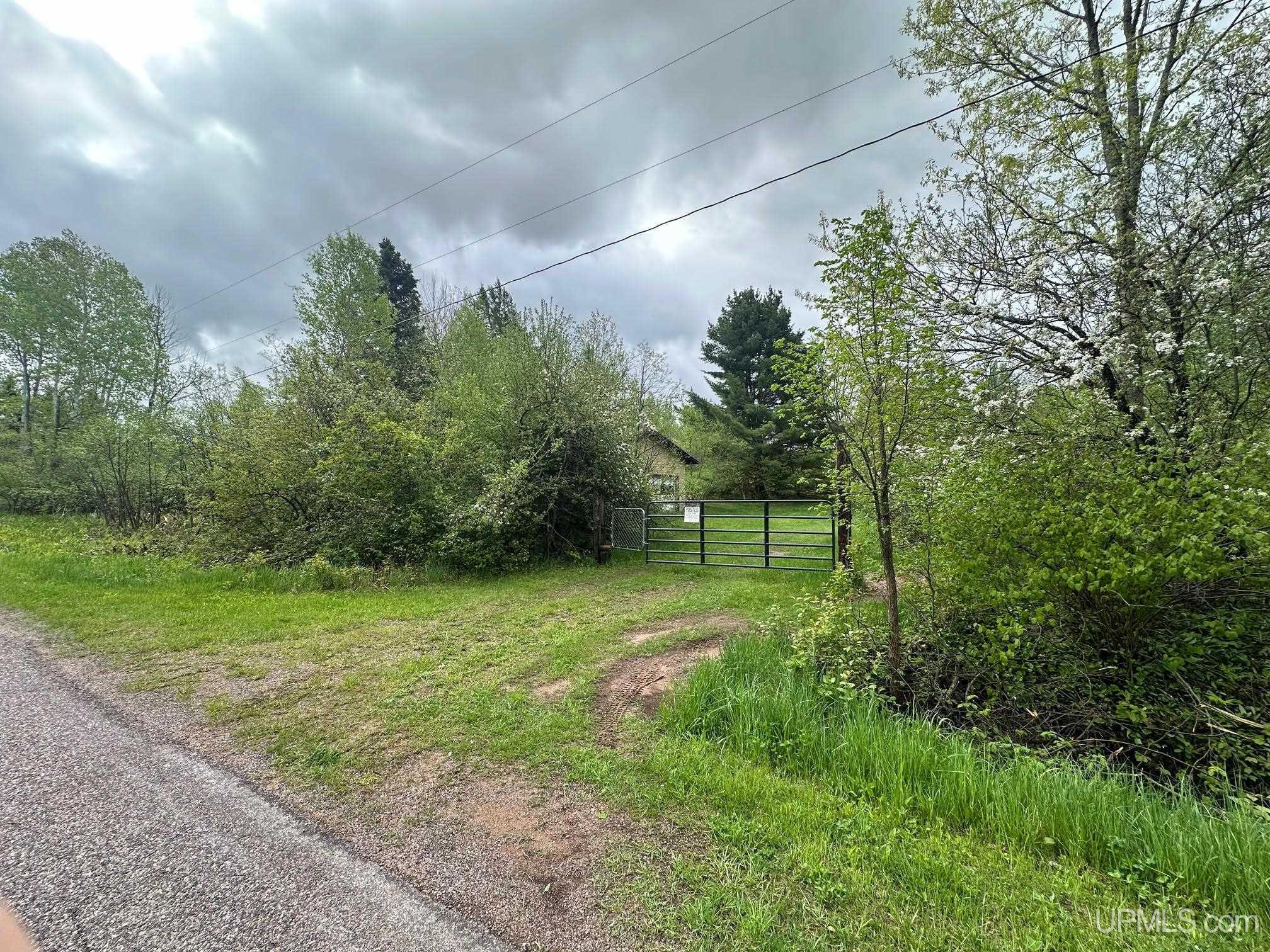 1390 North Co Road Skandia, MI 49885 - Photo 1 of 22