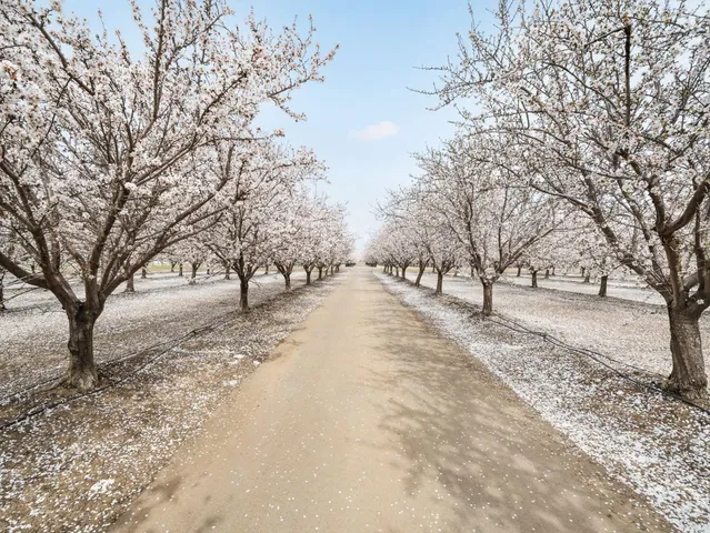 $3,973,000 | 24130 County Road 101A, Davis, CA 95616