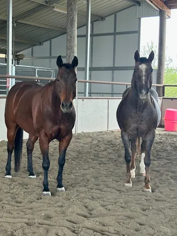 $3,973,000 | 24130 County Road 101A, Davis, CA 95616