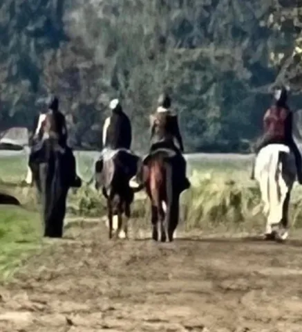 $3,973,000 | 24130 County Road 101A, Davis, CA 95616