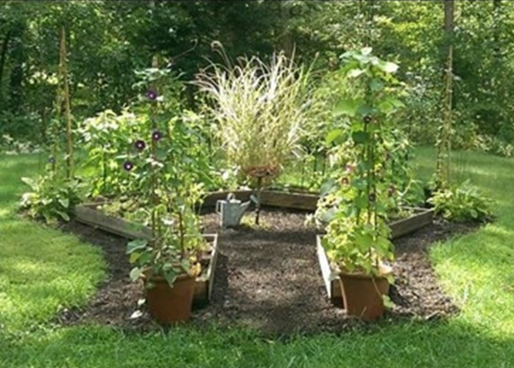 74 Walker Pond Road Sturbridge, MA 01566 - Photo 23 of 42 a view of a garden with plants