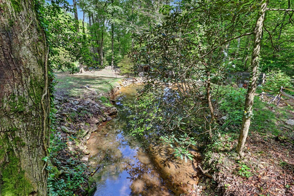 426 Claude Rogers Road Marble, NC 28905 - Photo 2 of 22