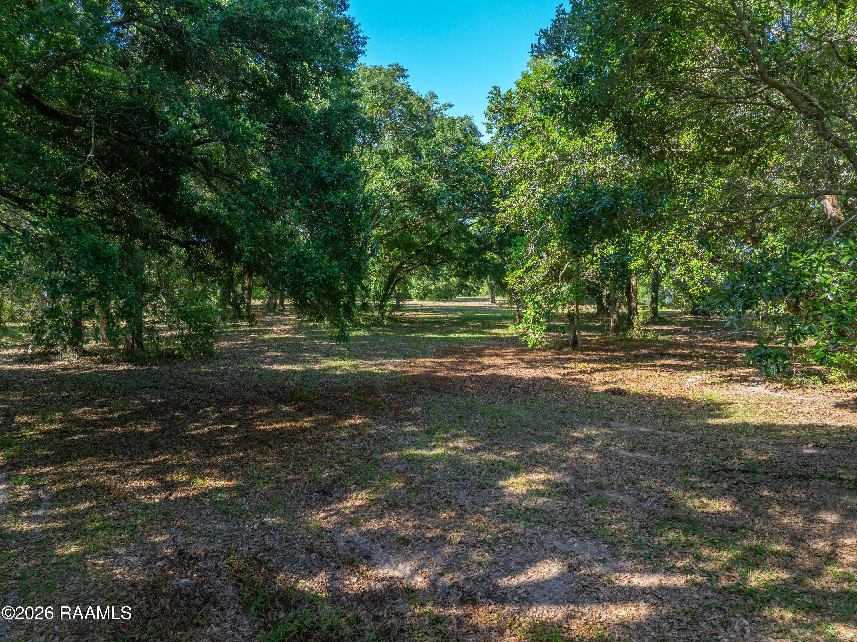 595 Iowa Gueydan, LA 70542 - Photo 13 of 16 LakeArthurLots-13