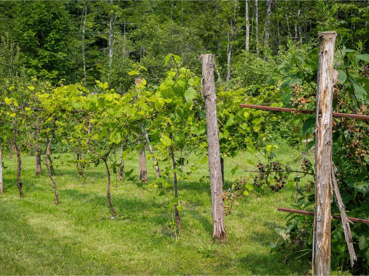 52 Stevensville Road Underhill, VT 05489 - Photo 27 of 40 Gallery Image 27