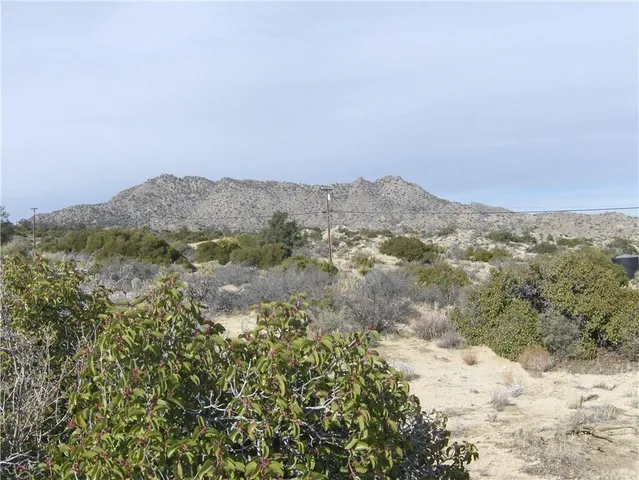 a street sign on a sidewalk next to a road