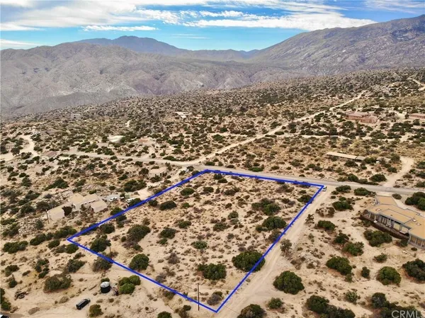 a view of a dry yard