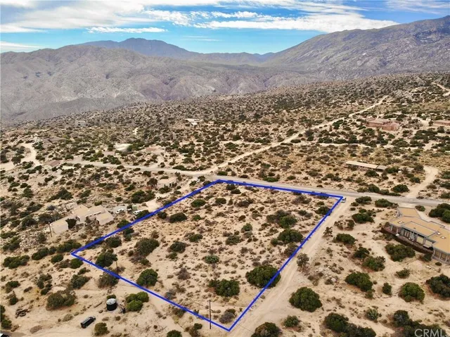 a view of a dry yard