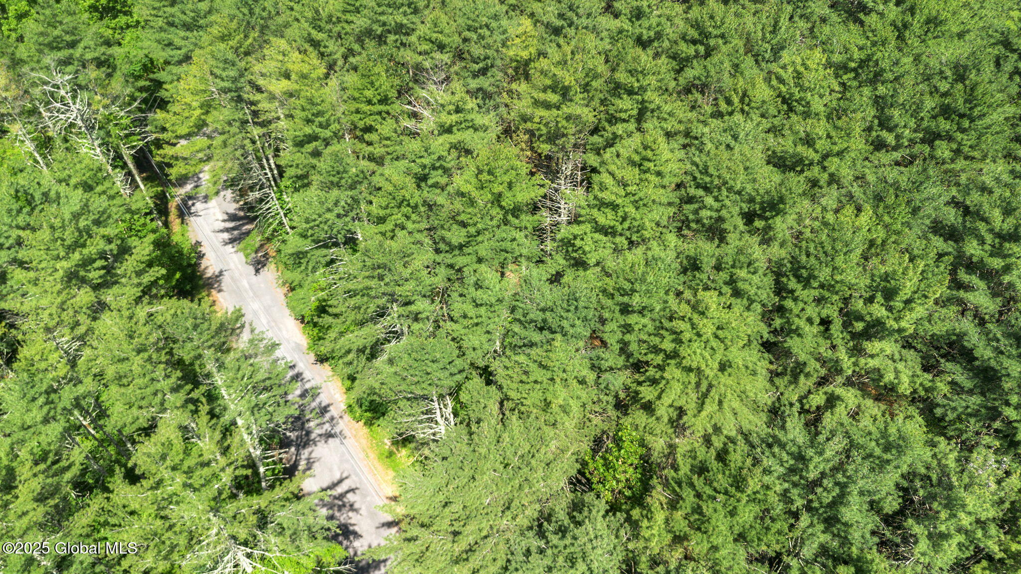 L4 Circle Drive Cairo, NY 12413 - Photo 4 of 10 9