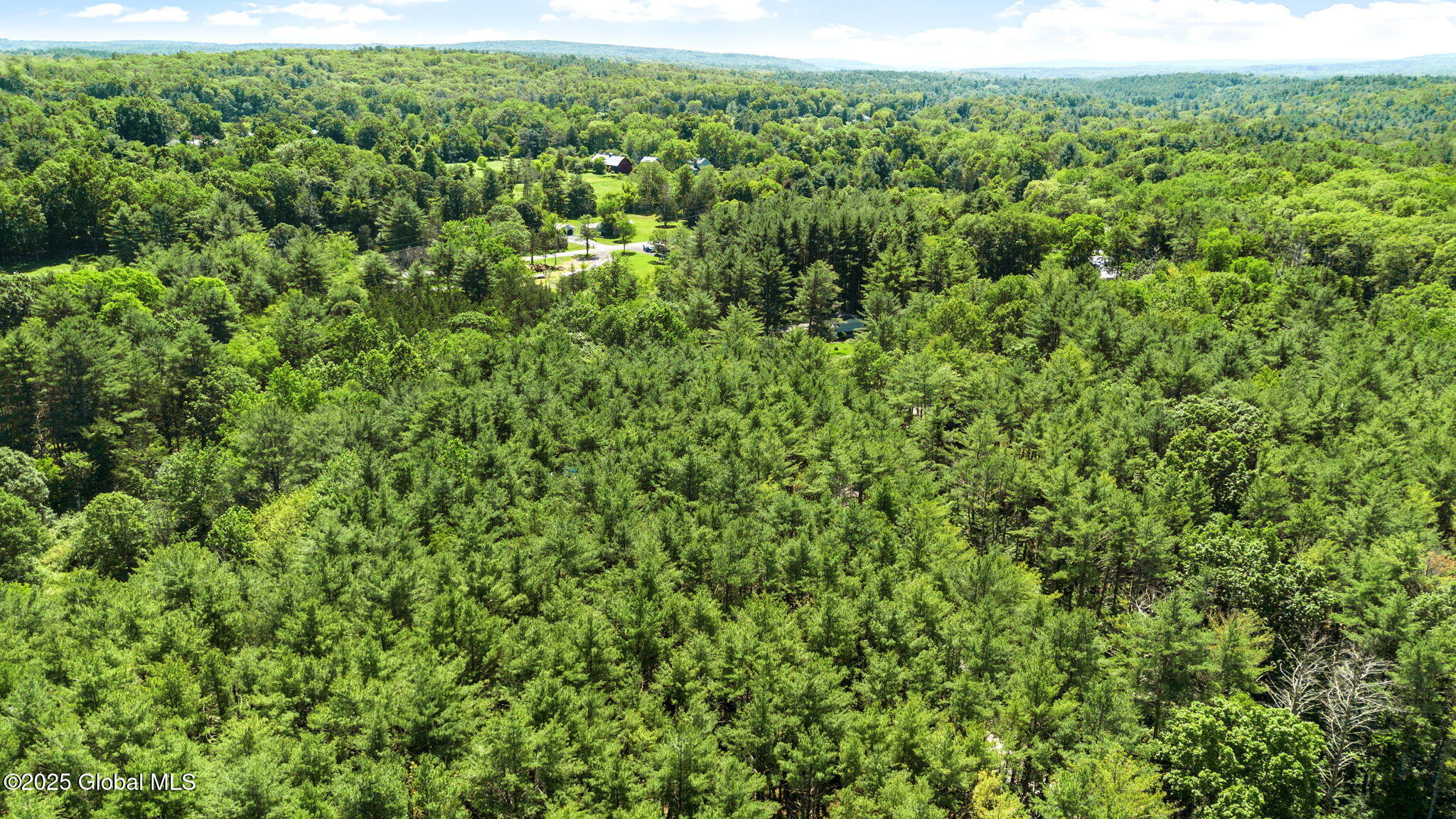 L4 Circle Drive Cairo, NY 12413 - Photo 6 of 10 11