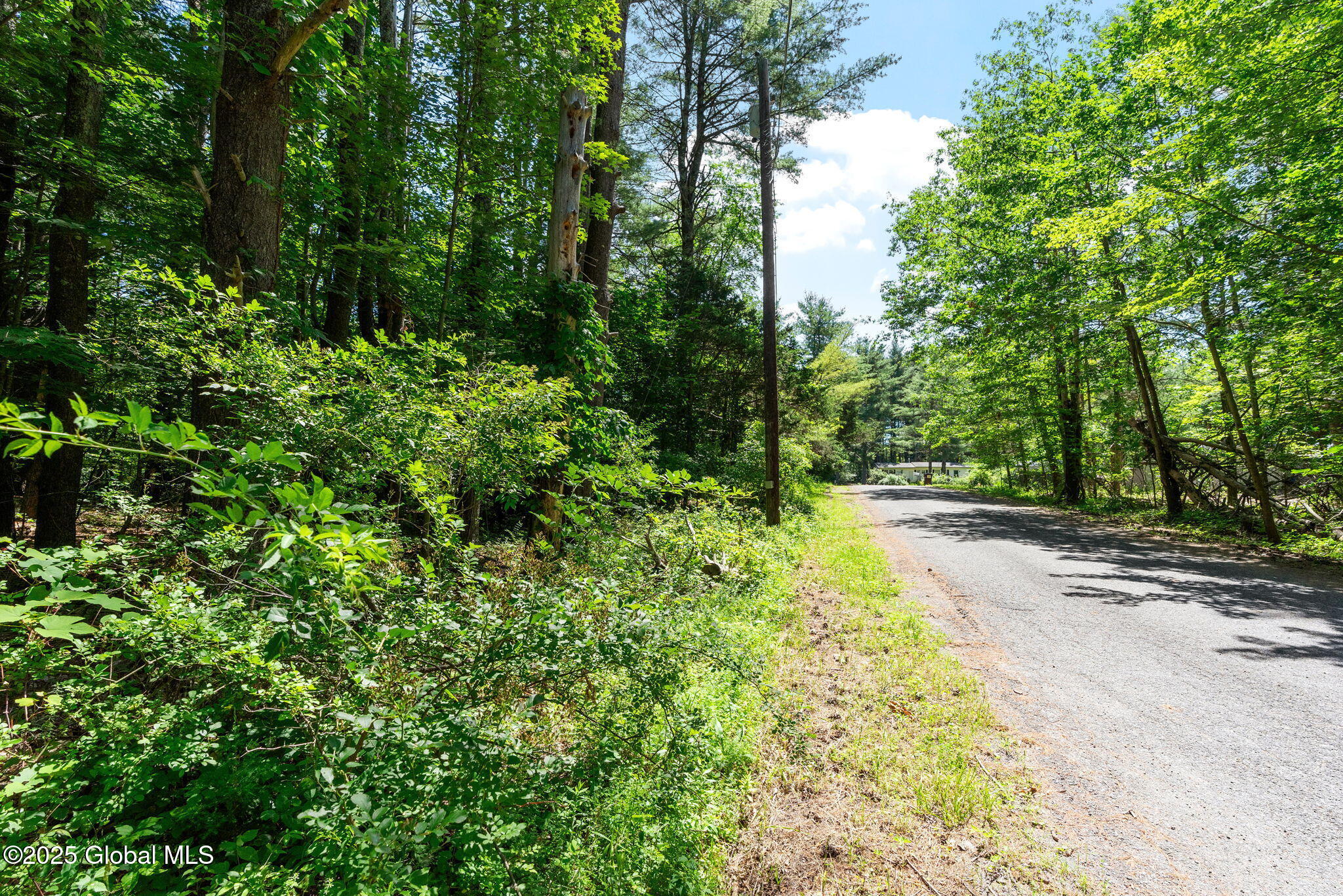 L4 Circle Drive Cairo, NY 12413 - Photo 8 of 10 2