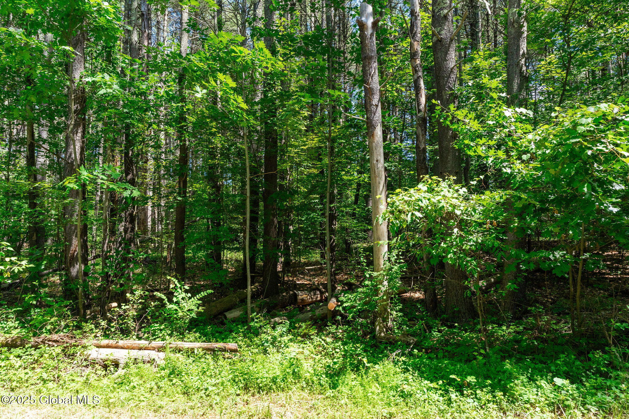 L4 Circle Drive Cairo, NY 12413 - Photo 9 of 10 3