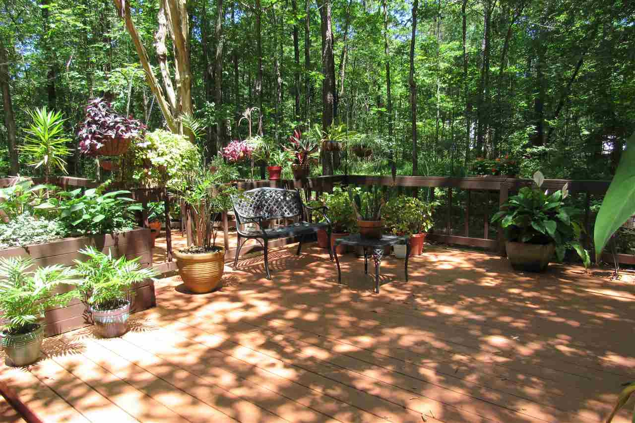 20 Bastille Street Brandon, MS 39047 - Photo 4 of 20 Photo 4