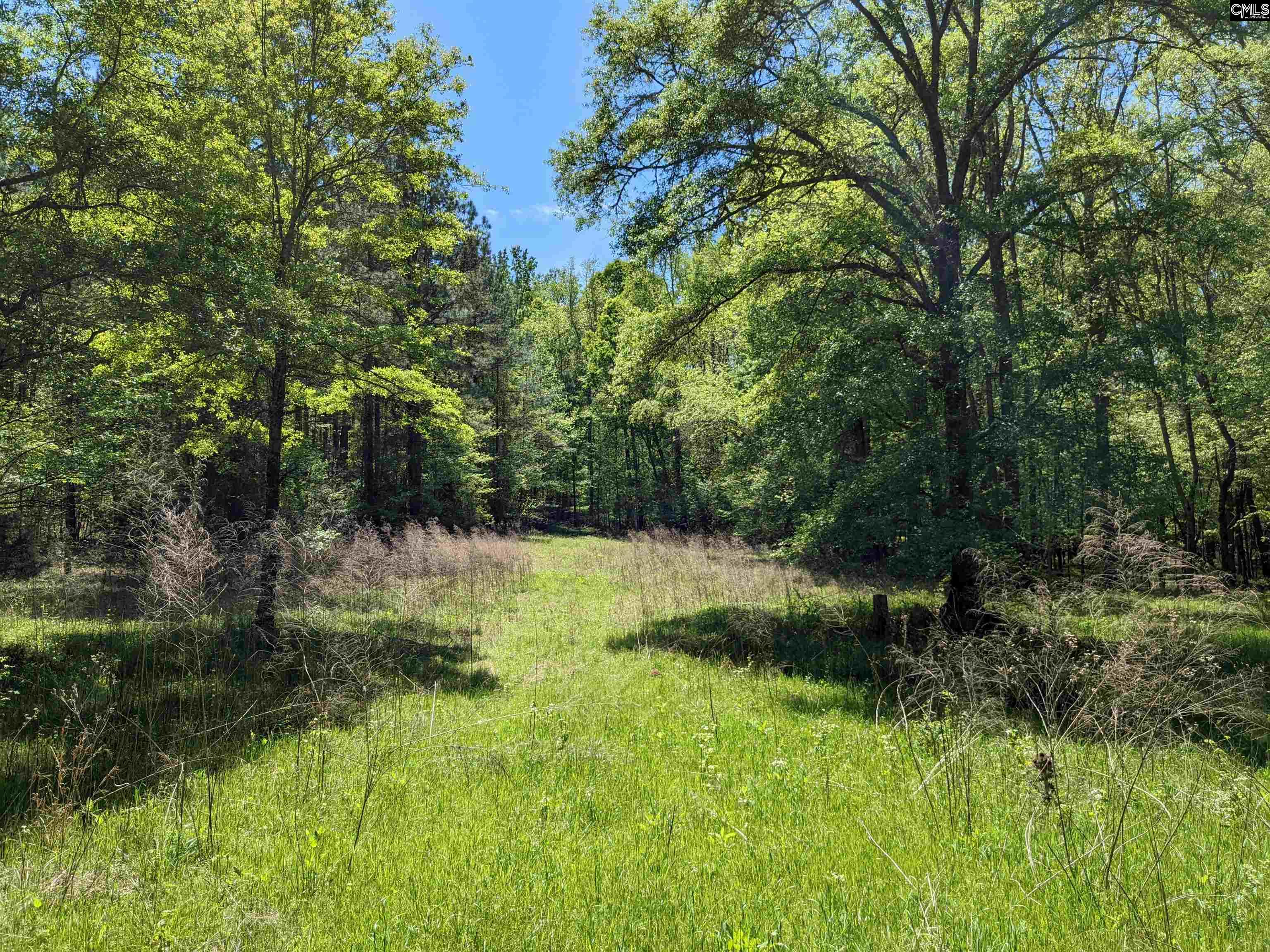 Old Hillcrest School Road Winnsboro, SC 29180 - Photo 18 of 95