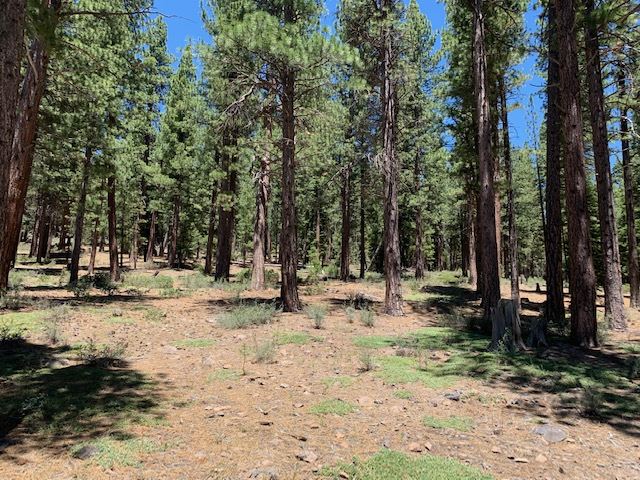 11400 Ghirard Road Truckee, CA 96161 - Photo 3 of 12