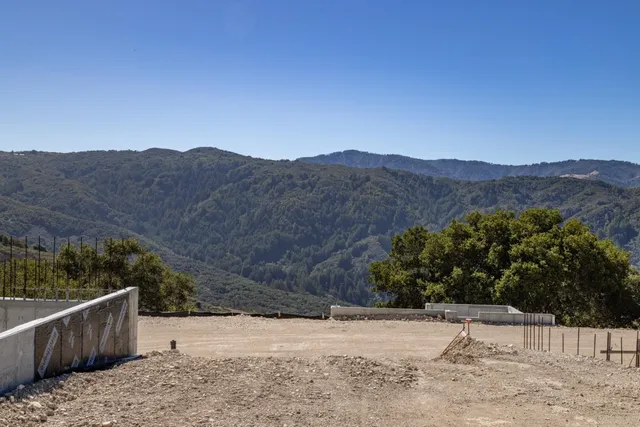 a view of a backyard with a large tree