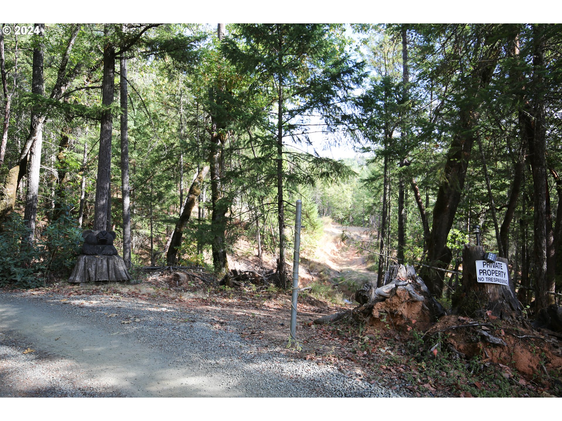 Quartz Creek Road Merlin, OR 97532 - Photo 10 of 19