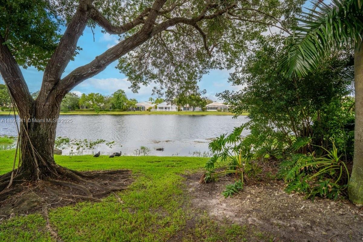 1441 154th Avenue Pembroke Pines, FL 33027 - Photo 34 of 37 a view of a lake with a large trees