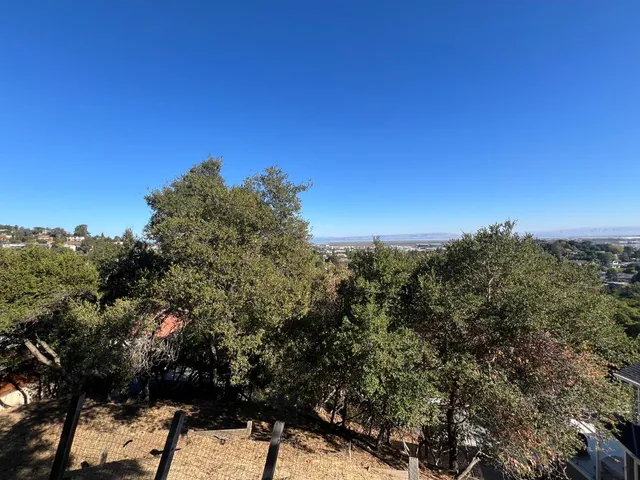 a view of a city with lush green forest