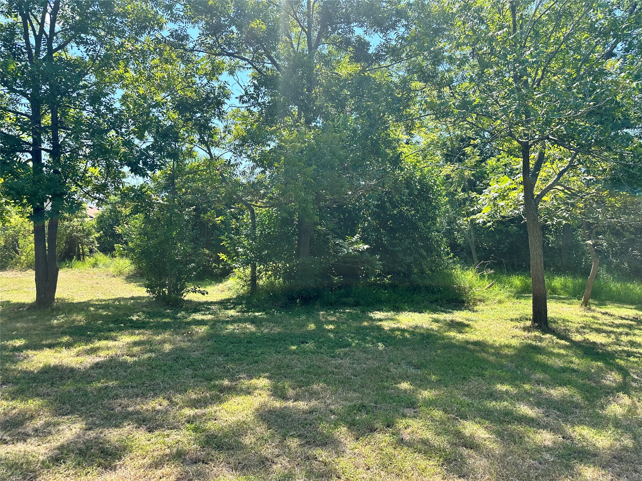 1007 South 18th Street Temple, TX 76501 - Photo 3 of 9 a view of a yard with a tree