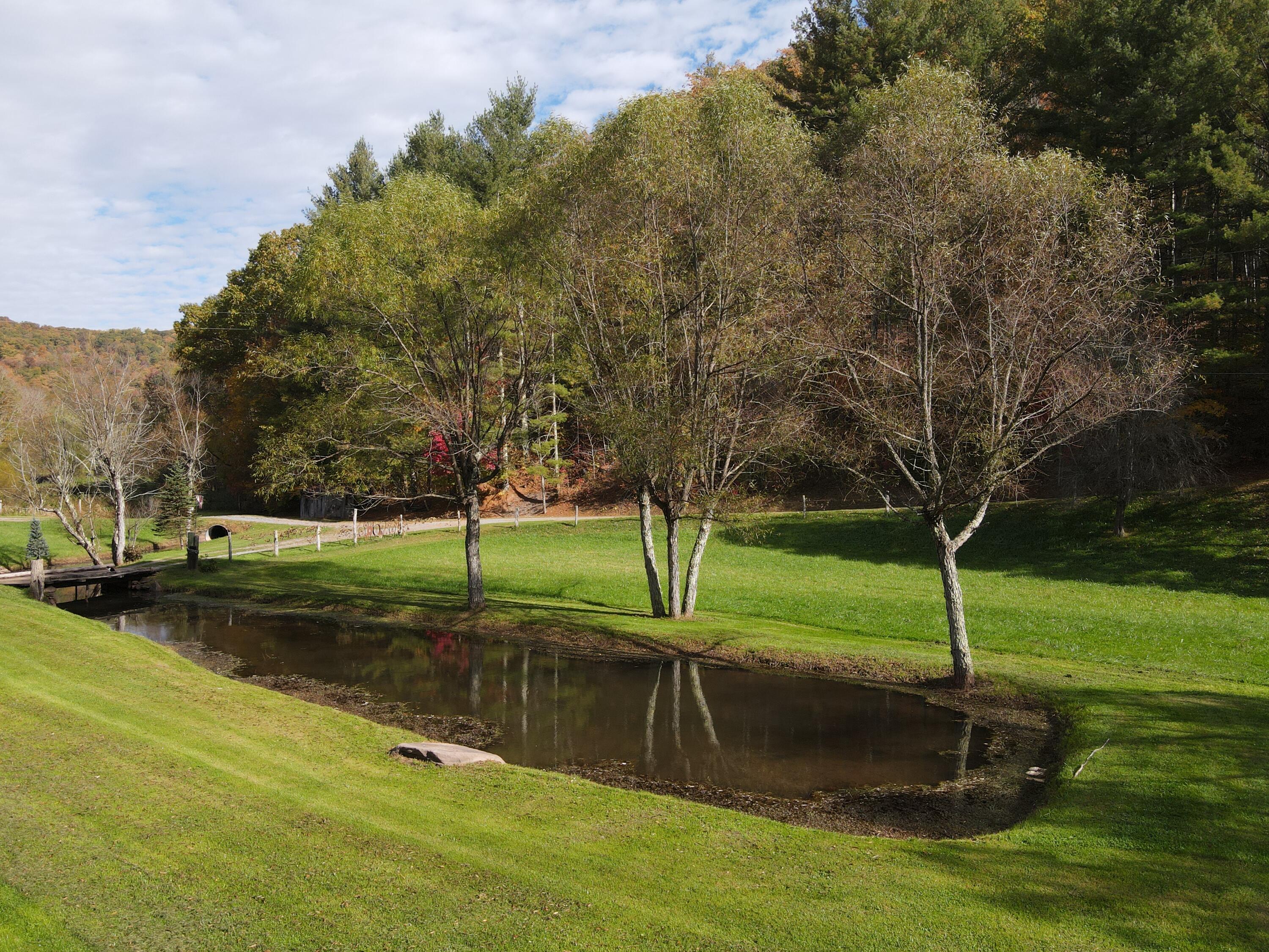 3446 Snake Run Road Alderson, WV 24910 - Photo 7 of 95 Gallery Image 7