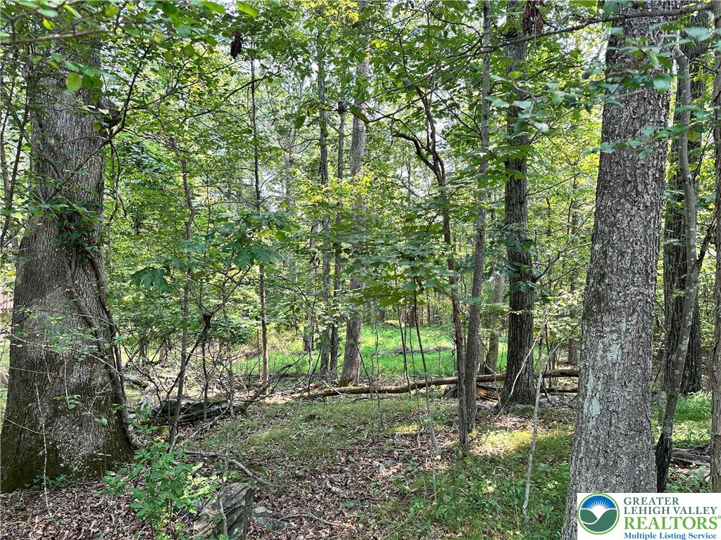a big yard with lots of green space and trees