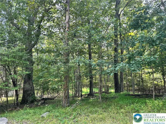 a view of a park with a tree