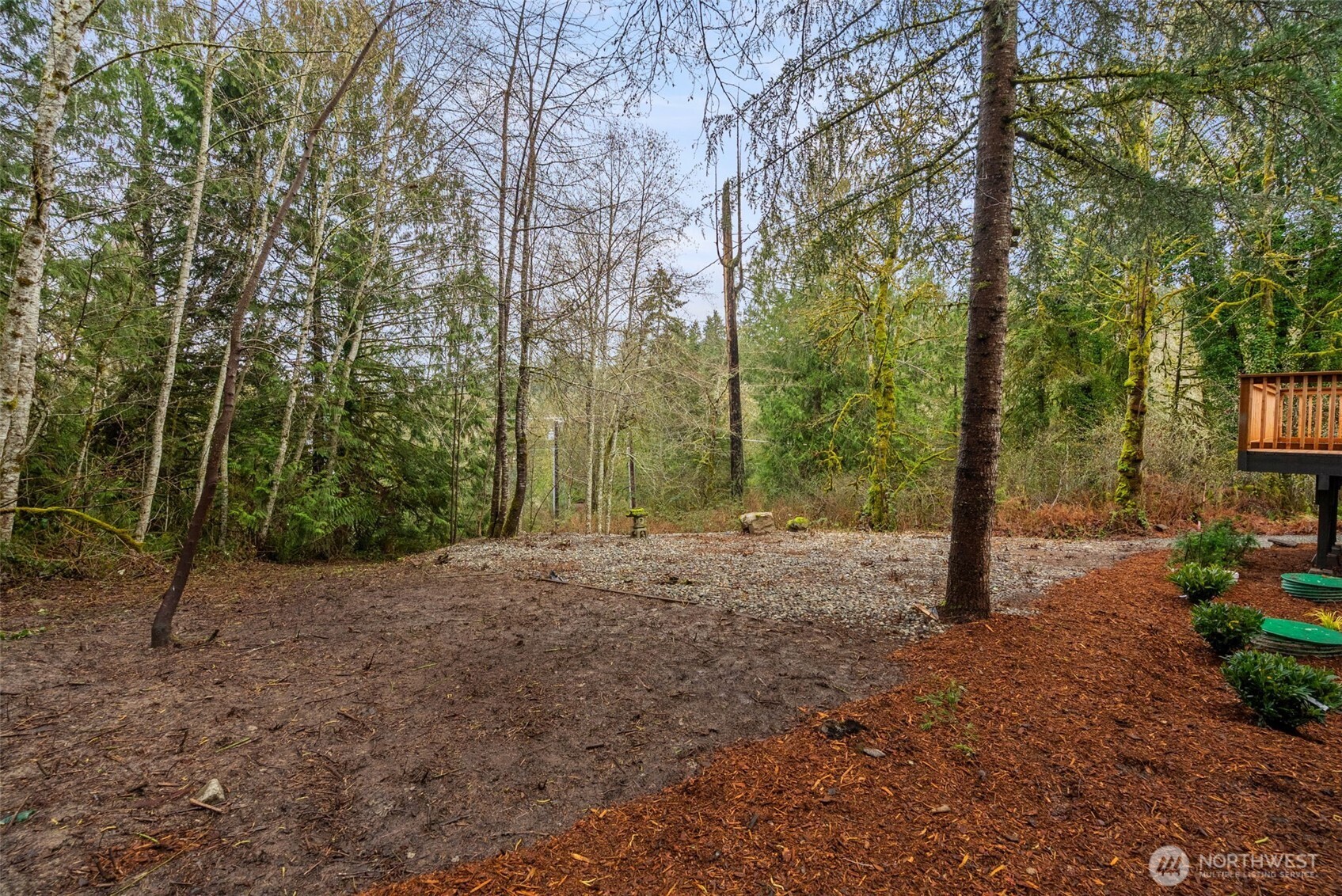 7605 Northeast Hidden Cove Road Bainbridge Island, WA 98110 - Photo 30 of 39 a view of a forest with trees in the background