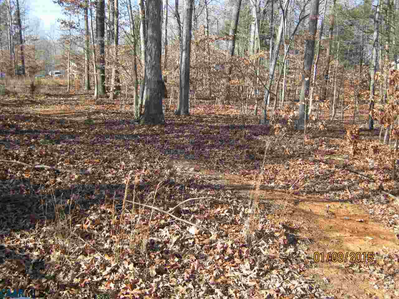 65 Riverside Drive Palmyra, VA 22963 - Photo 1 of 4 Gallery Image 1
