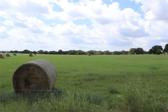 a view of a garden with a building in the background