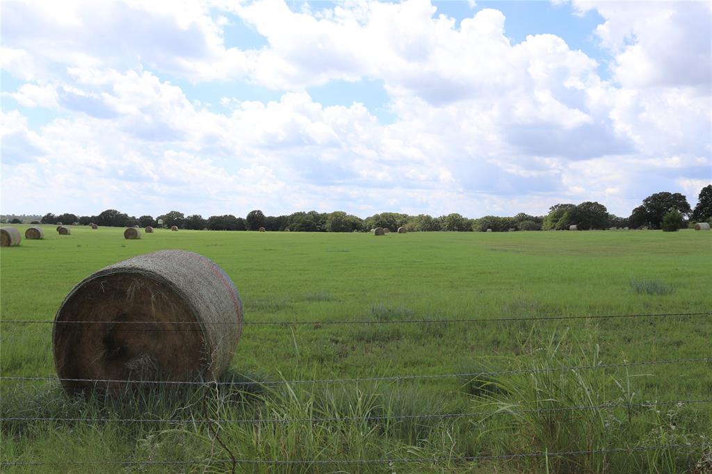 1749 St Sunset Tx 76270 Sunset, TX 76270 - Photo 5 of 6 a view of a garden with a building in the background