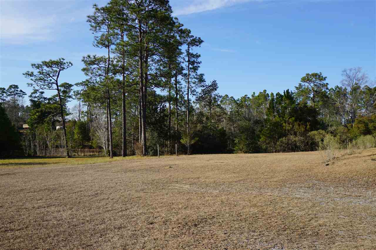 31079 Highway 90 Seminole, AL 36574 - Photo 3 of 33