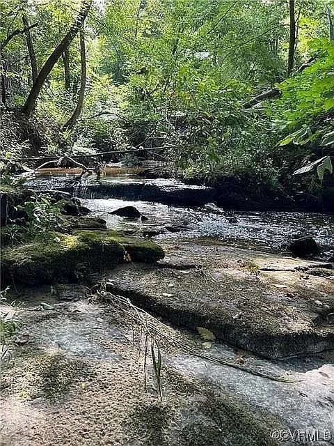 493 Solomon Road Crewe, VA 23930 - Photo 3 of 6 a view of a lake with lots of trees