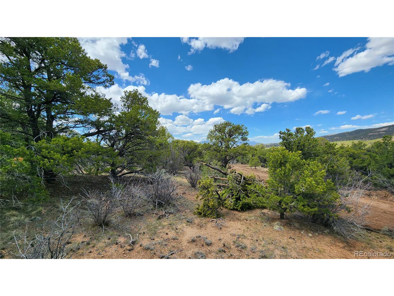 2667 Bateman Road Fort Garland, CO 81133 - Photo 12 of 32 Gallery Image 12