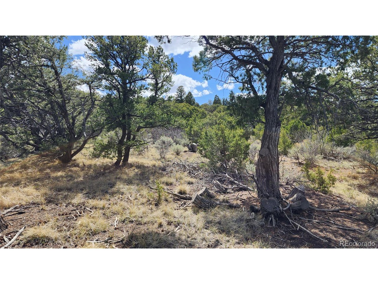 2667 Bateman Road Fort Garland, CO 81133 - Photo 16 of 32 Gallery Image 16