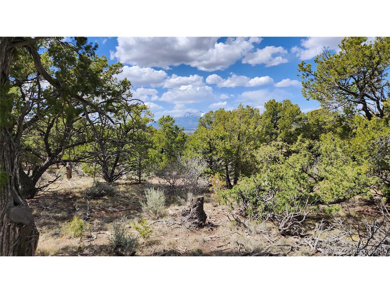 2667 Bateman Road Fort Garland, CO 81133 - Photo 17 of 32 Gallery Image 17