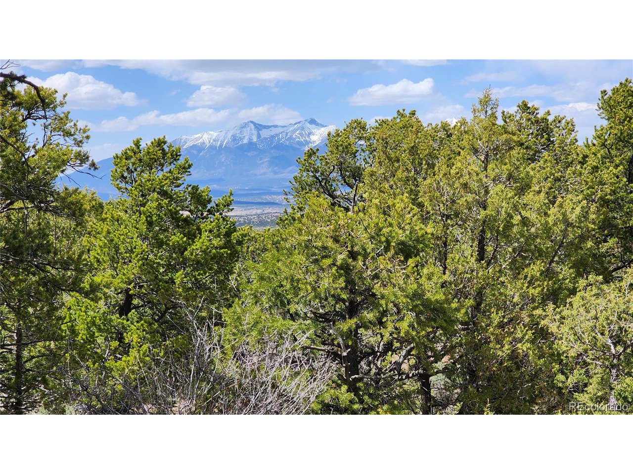 2667 Bateman Road Fort Garland, CO 81133 - Photo 18 of 32 Gallery Image 18