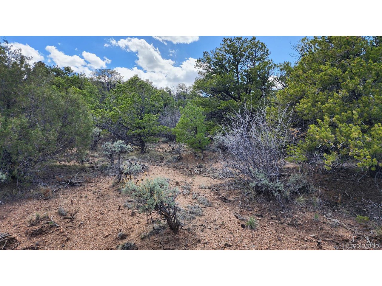 2667 Bateman Road Fort Garland, CO 81133 - Photo 20 of 32 Gallery Image 20