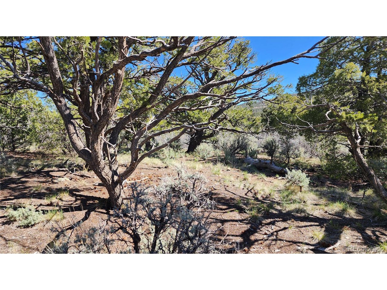 2667 Bateman Road Fort Garland, CO 81133 - Photo 23 of 32 Gallery Image 23