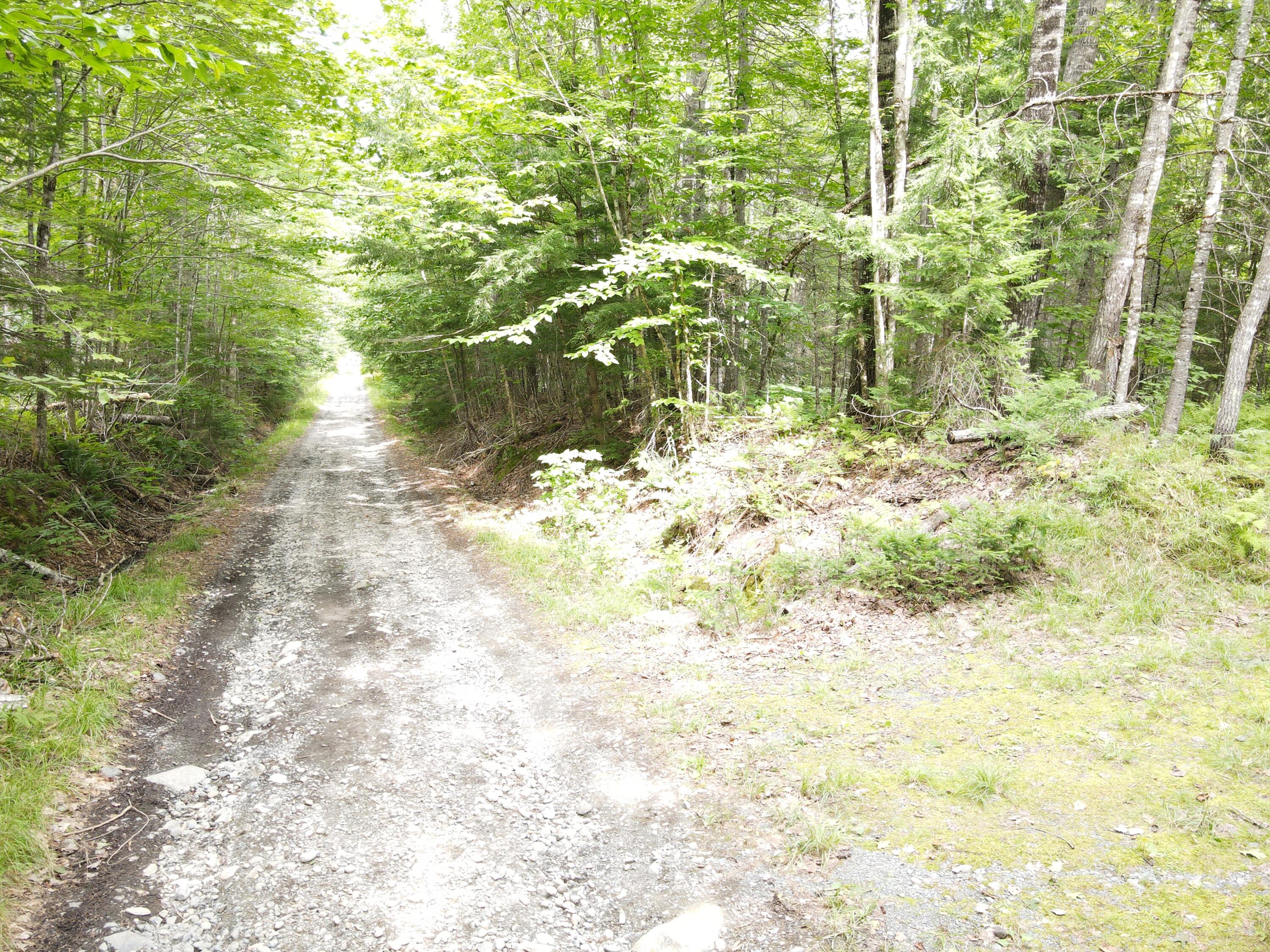 0 Lower Bates Road Abbot, ME 04406 - Photo 26 of 34 dji_fly_20240808_144210_351_172314254509