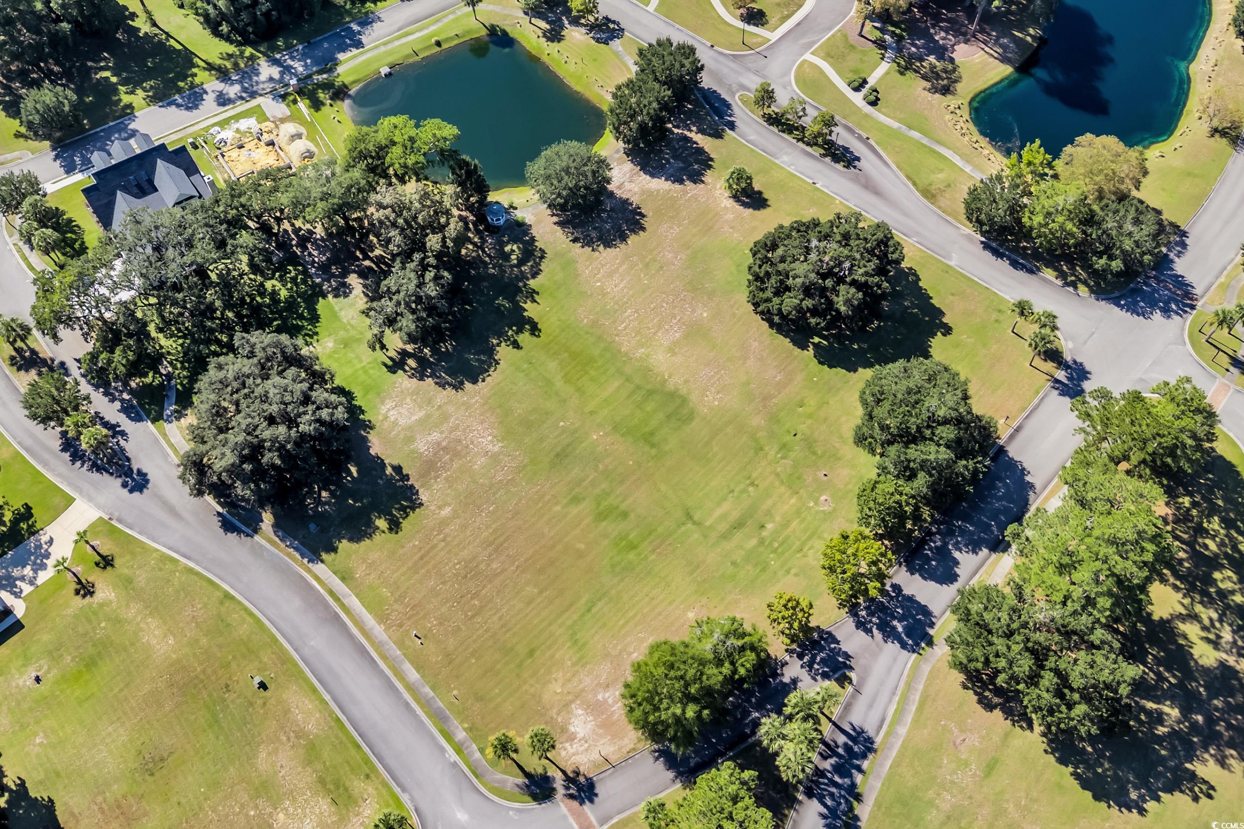 Oak Lawn Road Georgetown, SC 29440 - Photo 4 of 21
