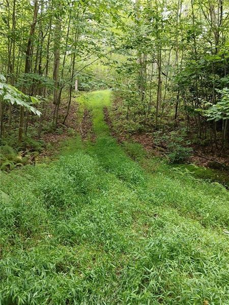 702 Shepherd Road Farmington, PA 15437 - Photo 11 of 13