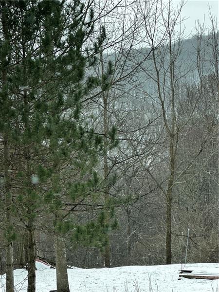 702 Shepherd Road Farmington, PA 15437 - Photo 2 of 13