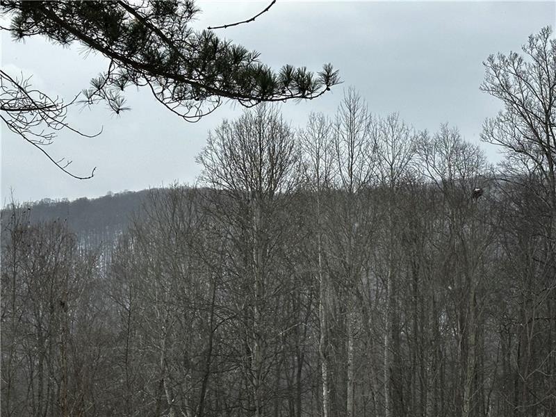 702 Shepherd Road Farmington, PA 15437 - Photo 4 of 13