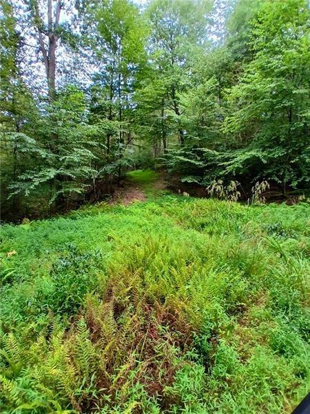 702 Shepherd Road Farmington, PA 15437 - Photo 6 of 13