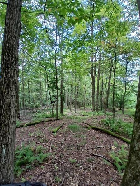 702 Shepherd Road Farmington, PA 15437 - Photo 9 of 13